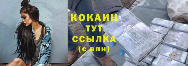 индика Навашино