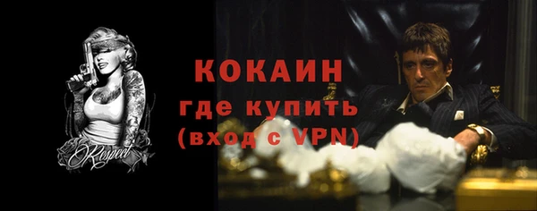 индика Навашино