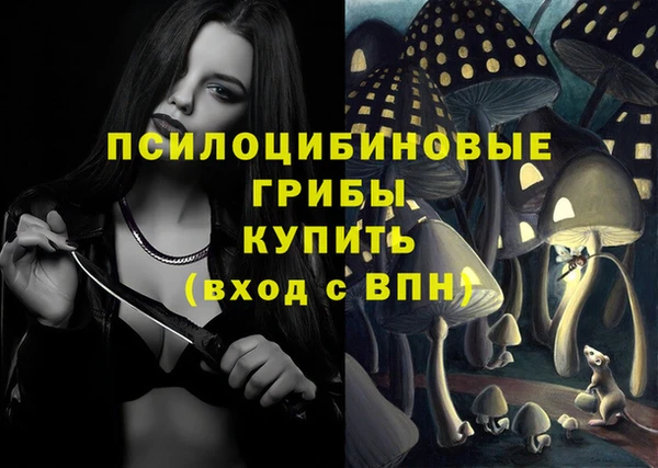 mix Надым